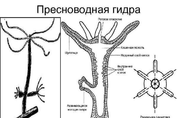 Как зайти на кракен даркнет